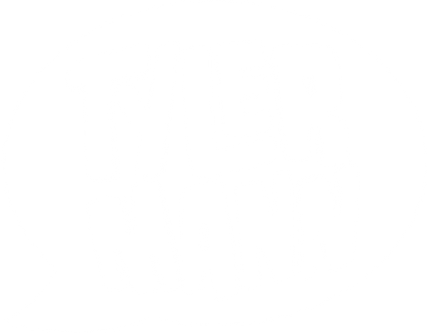 TylerMannArt